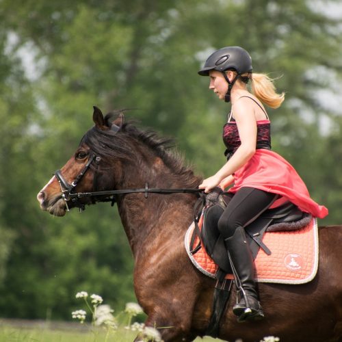 EPXPERIENCE_HORSE RIDING